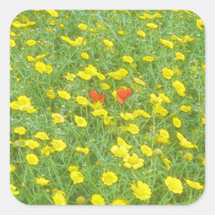 Watercolor poppies square sticker
