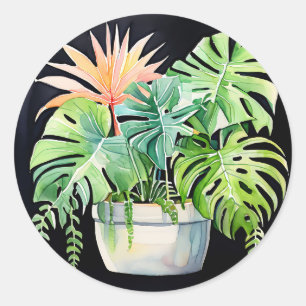 Watercolor Potted Succulents and Monstera Leaves Classic Round Sticker