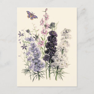 Watercolor Purple, Pink Garden Flowers, Butterfly  Postcard