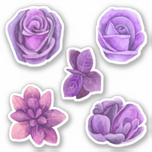 Watercolor purple roses flowers. Lilac floral