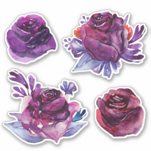 Watercolor purple roses. Violet floral botanical
