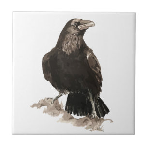 Watercolor Raven Bird Wildlife Art Tile