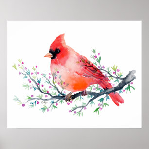 Watercolor Red Cardinal on Berry Branch Poster