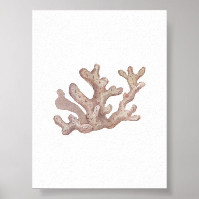 Watercolor red seashell print (Front)