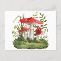 Watercolor Red Wild Forest Mushrooms