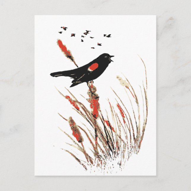 Watercolor Red Winged Blackbird Bird Animal Art Holiday Postcard (Front)