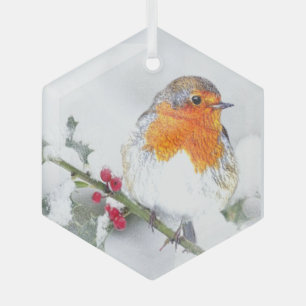 Watercolor Robin English Bird Wildlife Nature Art Glass Tree Decoration