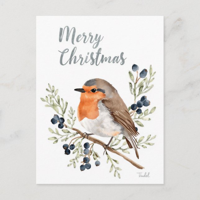 Watercolor Robin & Winter Berries Holiday Postcard (Front)