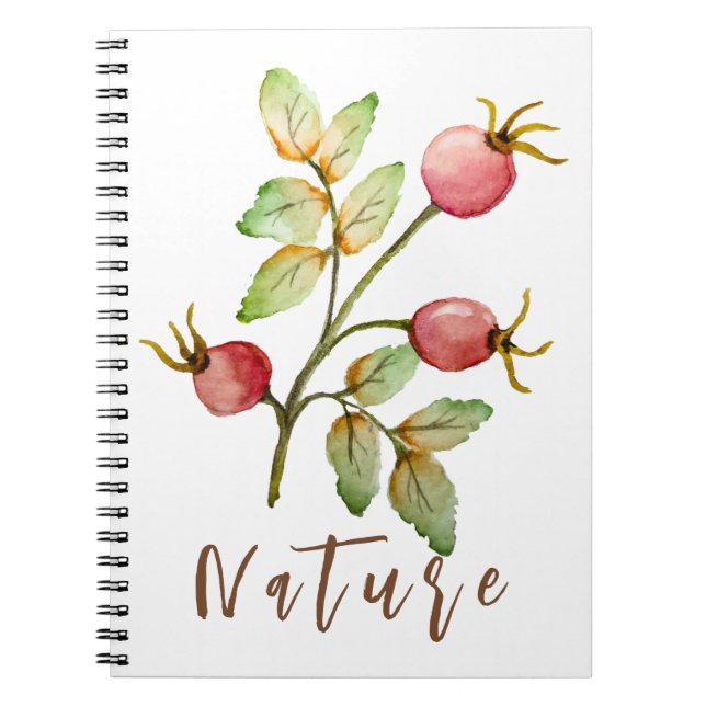 Watercolor rose hips notebook (Front)
