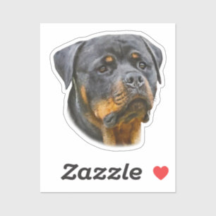 Watercolor Rottweiler