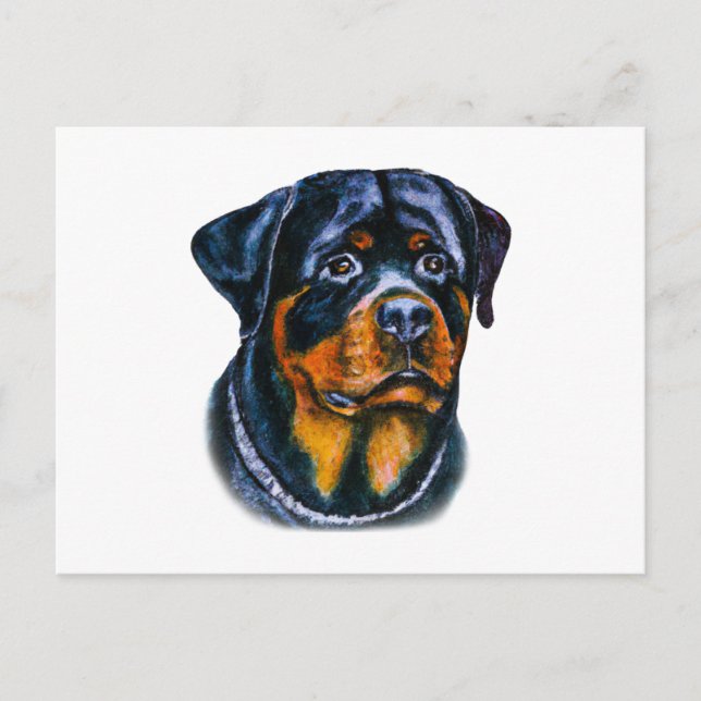 Watercolor Rottweiler Postcard (Front)