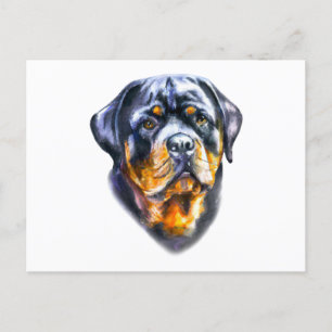 Watercolor Rottweiler Postcard