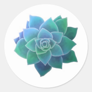 Watercolor Round Succulents Sticker