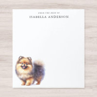 Watercolor Sable Pomeranian From The Desk Of