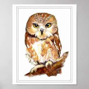 Watercolor Saw Whet Owl Poster