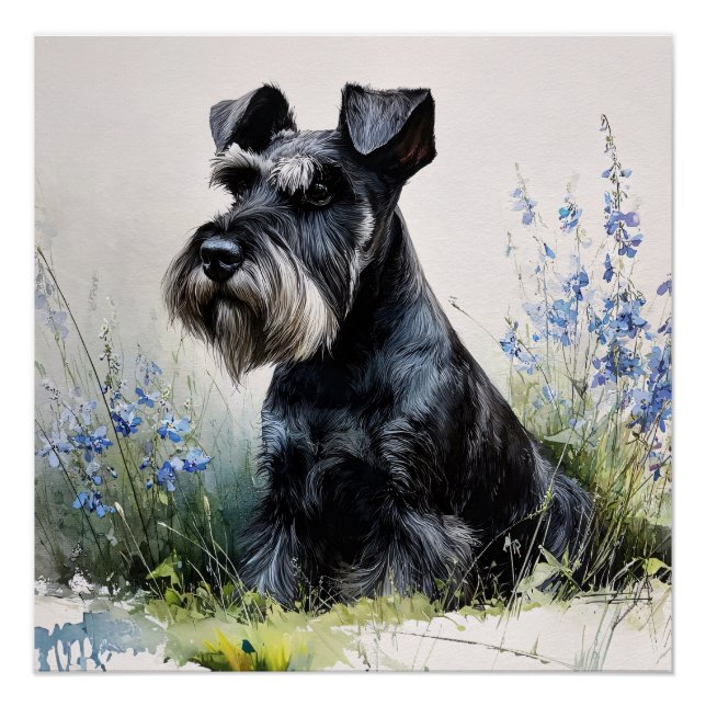 Watercolor Schnauzer Poster (Front)