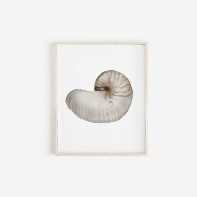 Watercolor seashell poster (Creator Uploaded)