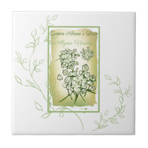 Watercolor Seed Packet Queen Anne's Lace Ceramic Tile