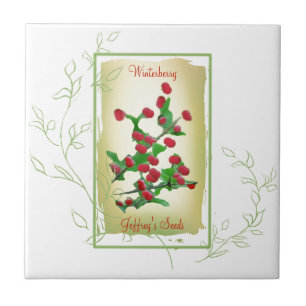 Watercolor Seed Packet Winterberry Ceramic Tile