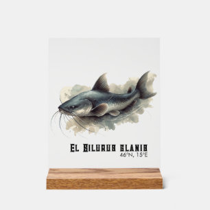 Watercolor Series: Catfish Acrylic Sign