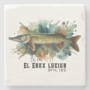 Watercolor Series: Pike Stone Coaster