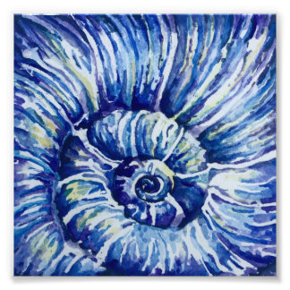 Watercolor Shell Photo Print
