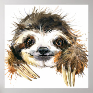 Watercolor sloth poster