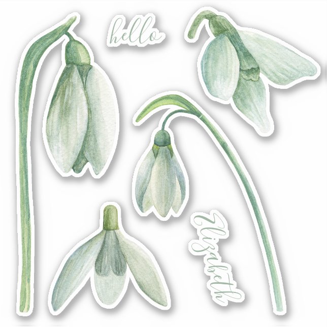 Watercolor snowdrop. Spring flowers. Floral name (Front)