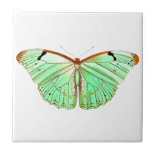 Watercolor Spring Butterfly Ceramic Tile