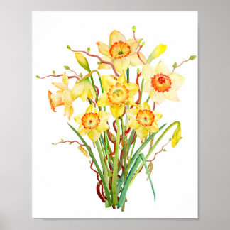 Watercolor spring flower daffodil poster