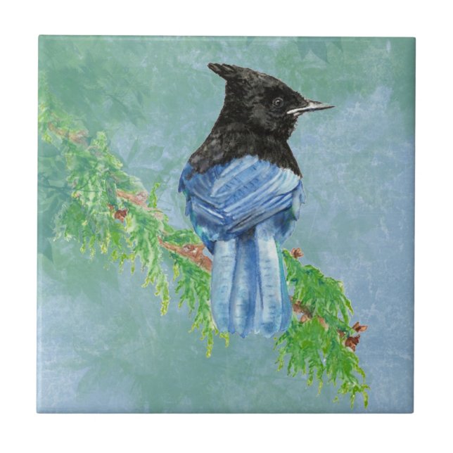 Watercolor Stellar Jay Bird Wildlife Art Tile (Front)
