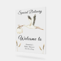 Watercolor Stork Baby Shower Welcome