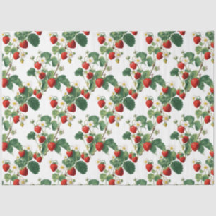 Watercolor Strawberries Tissue Paper