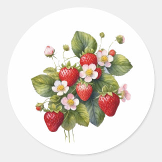 Watercolor Strawberry Fruit with Flowers  Classic Round Sticker