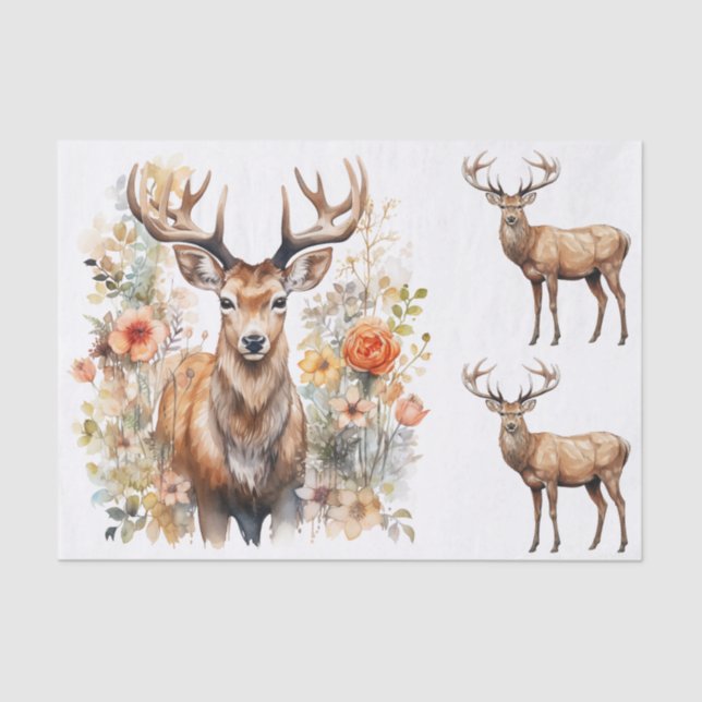 Watercolor Style Illustrations of Male Deer Bucks Tissue Paper (Front)