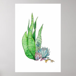 Watercolor Succulent Botanical Greenery  Poster