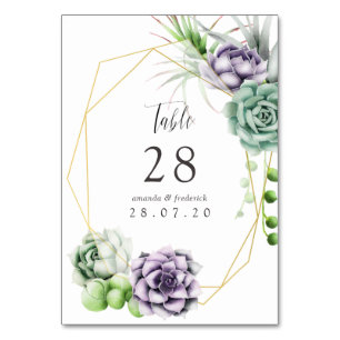 Watercolor Succulent Geometric Wedding Table Number