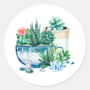 Watercolor Succulent Plants in the Pots Classic Round Sticker