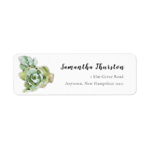 Watercolor Succulent Return Address Labels