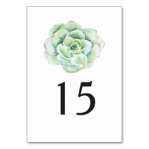 watercolor succulent wedding table number
