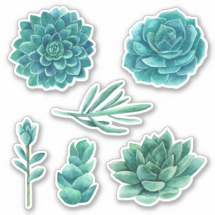 Watercolor succulents. Blue cactus. Teal cacti