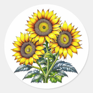 Watercolor Sunflowers Floral Classic Round Sticker