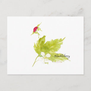 watercolor thimbleberry postcard