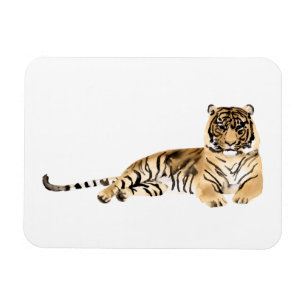 Watercolor Tiger Resting Magnet