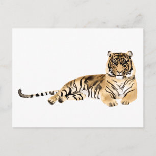 Watercolor Tiger Resting Postcard