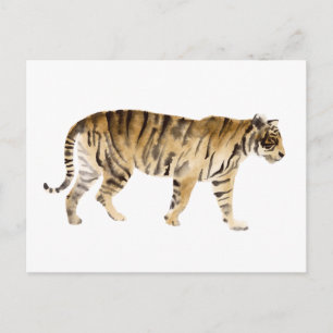 Watercolor Tiger Walking Postcard