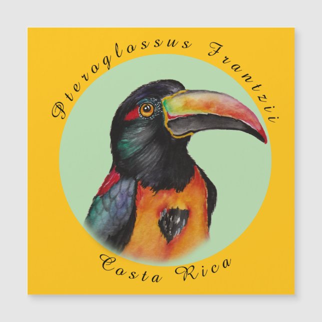 Watercolor toucan (Front)