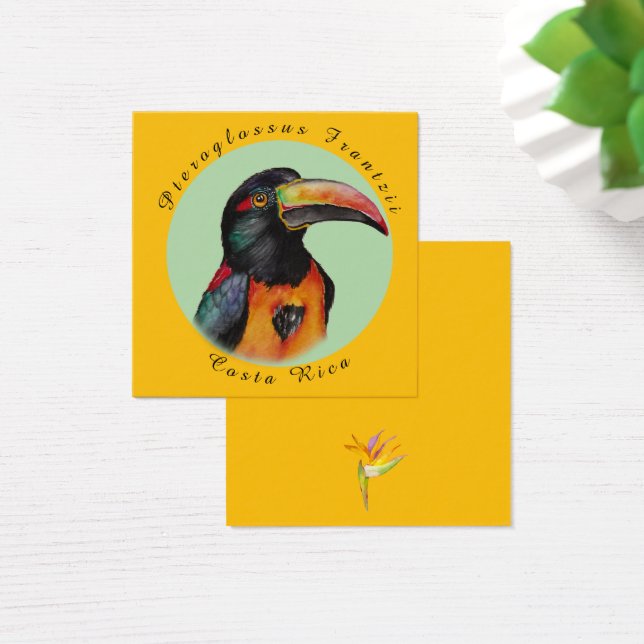 Watercolor toucan (Desk)