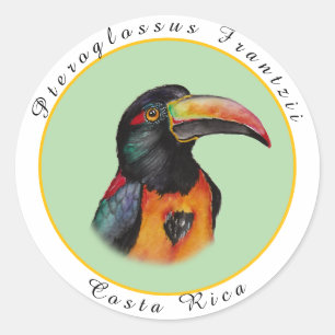 Watercolor toucan classic round sticker