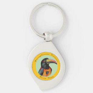 Watercolor toucan key ring